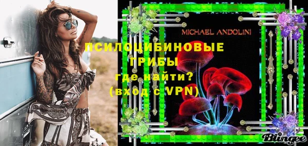 спиды Мегион