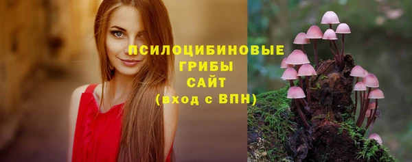 мдпв Медногорск