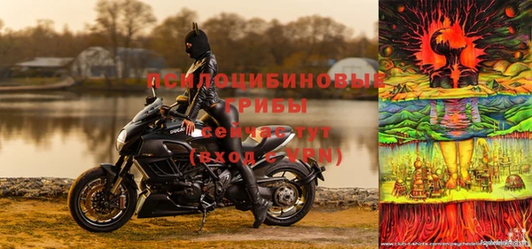 мдпв Медногорск