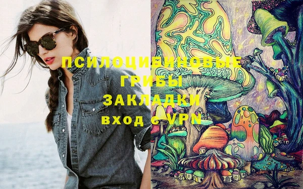 спиды Мегион