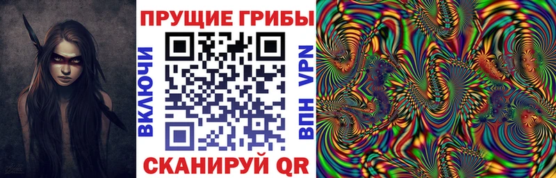 Псилоцибиновые грибы Magic Shrooms  что такое   Торопец 